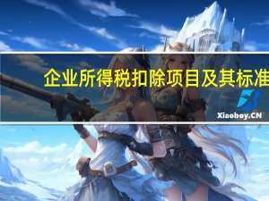 企业所得税扣除项目及其标准