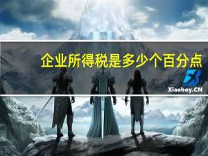 企业所得税是多少个百分点
