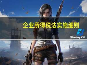 企业所得税法实施细则