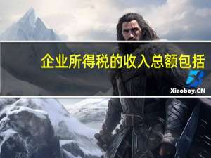 企业所得税的收入总额包括