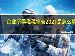 企业所得税税率表2021是怎么算的（企业所得税税率表2019）