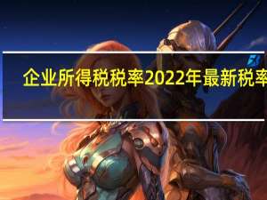 企业所得税税率2022年最新税率表