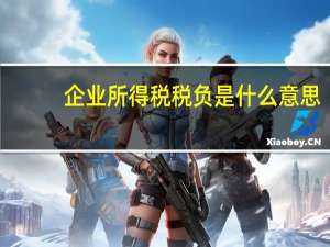 企业所得税税负是什么意思（企业税负是什么意思）