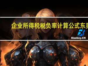 企业所得税税负率计算公式东奥（企业所得税税负率计算公式）