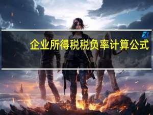 企业所得税税负率计算公式