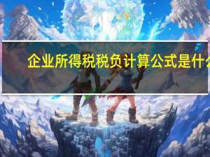 企业所得税税负计算公式是什么