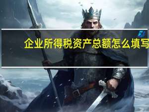 企业所得税资产总额怎么填写