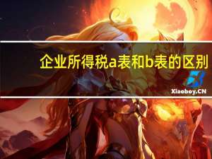 企业所得税a表和b表的区别