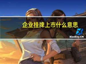 企业挂牌上市什么意思