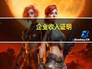 企业收入证明