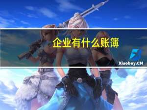 企业有什么账簿