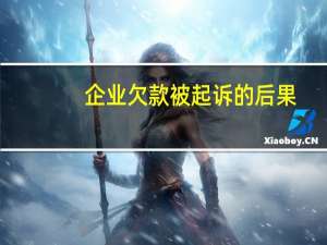 企业欠款被起诉的后果