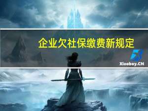 企业欠社保缴费新规定