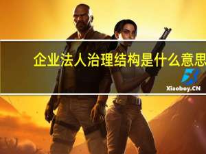 企业法人治理结构是什么意思（什么是企业法人治理结构）