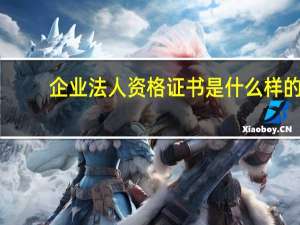 企业法人资格证书是什么样的（企业法人资格证书是什么）