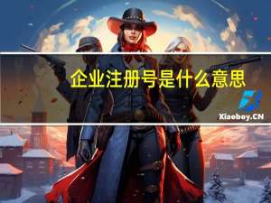 企业注册号是什么意思（企业注册号是什么）