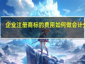 企业注册商标的费用如何做会计分录
