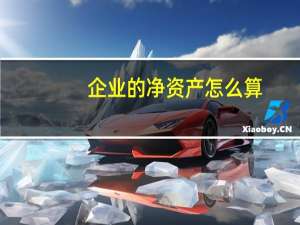 企业的净资产怎么算