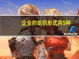 企业的组织形式共5种