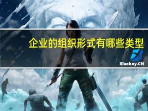 企业的组织形式有哪些类型