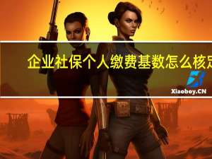 企业社保个人缴费基数怎么核定