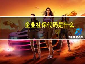 企业社保代码是什么