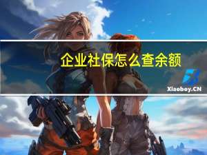 企业社保怎么查余额