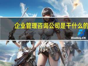 企业管理咨询公司是干什么的