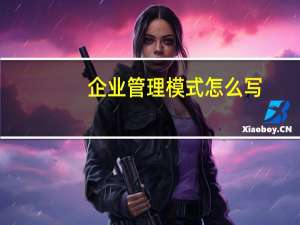 企业管理模式怎么写