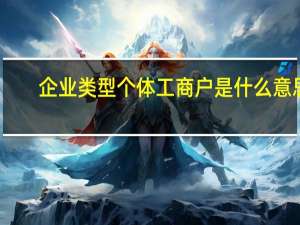企业类型个体工商户是什么意思（企业类型）