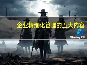 企业精细化管理的五大内容（企业精细化管理的意义）