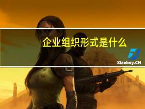 企业组织形式是什么