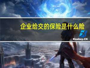企业给交的保险是什么险（企业要上什么险）