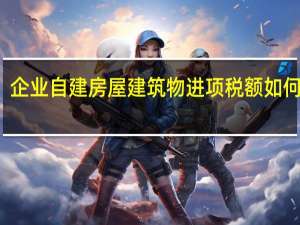 企业自建房屋建筑物进项税额如何抵扣