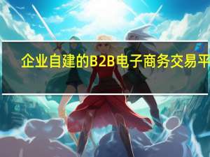 企业自建的B2B电子商务交易平台