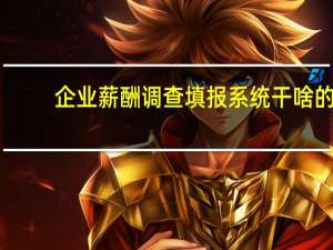 企业薪酬调查填报系统干啥的（企业薪酬调查填报系统）