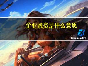 企业融资是什么意思