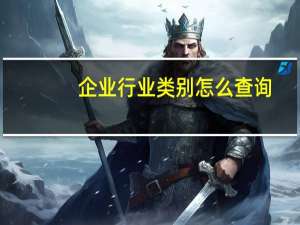 企业行业类别怎么查询