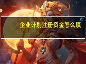 企业计划注册资金怎么填