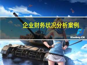 企业财务状况分析案例（企业财务状况分析怎么写）