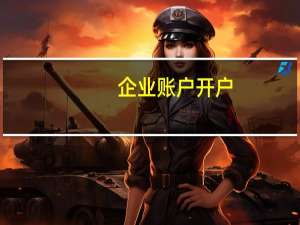 企业账户开户（企业账户查询）