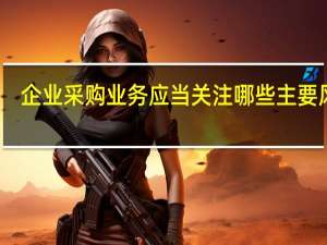 企业采购业务应当关注哪些主要风险