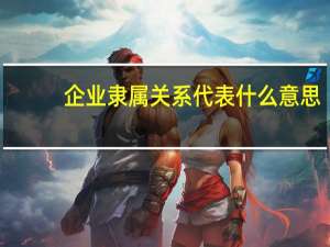 企业隶属关系代表什么意思（企业隶属关系查询）