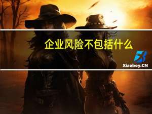 企业风险不包括什么