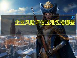 企业风险评估过程包括哪些