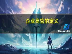 企业高管的定义（高管的定义）