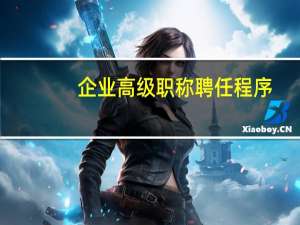 企业高级职称聘任程序