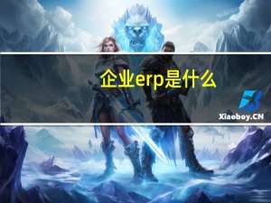 企业erp是什么