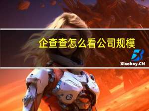 企查查怎么看公司规模（企业规模在哪里查询）