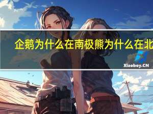 企鹅为什么在南极熊为什么在北极